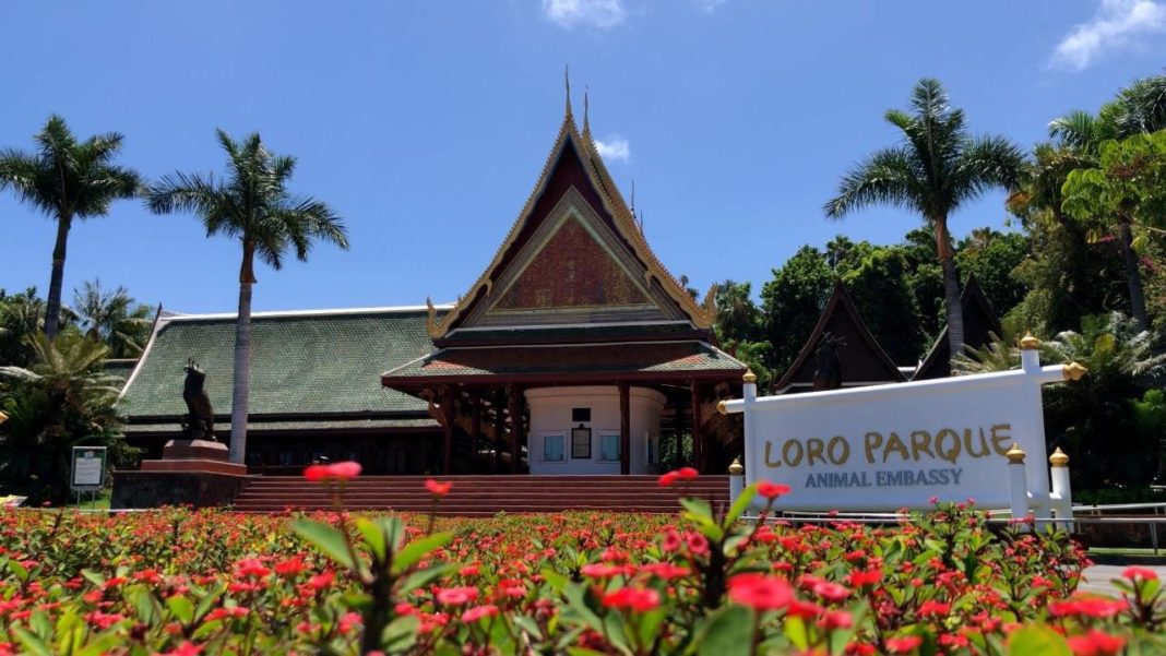 Foto de Loro Parque y Siam Park amplían su horario de lunes a domingo