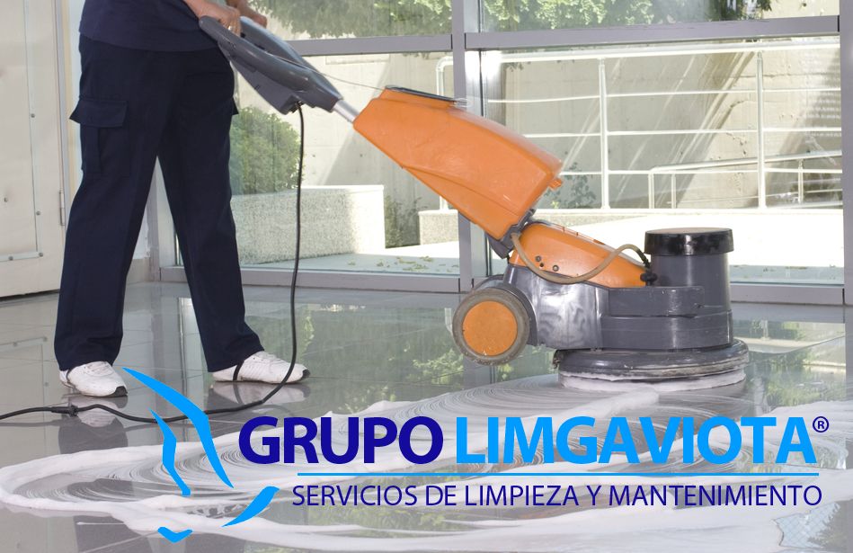 Foto de Ventajas de contratar una empresa de limpieza, por PULIGAVIOTA